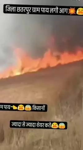 खेतों में लगी आग पाय में😱😭😭
