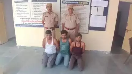 #Balotra: बालोतरा पुलिस की अवैध गतिविधियों के विरूद्ध बड़ी कार्यवाही।

सरहद पटाउ खुर्द में भारतमाला एक्सप्रेस वे के पटाउ टाॅल के पास खेत से अवैध बायो डीजल जब्त।