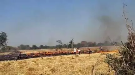 पलेरा : ग्राम बन्ने बुजुर्ग में किसान के खेत में रखी कटी फसल में लगी आग, करीबन 2 एकड़ की फसल जलकर हुई खाक,