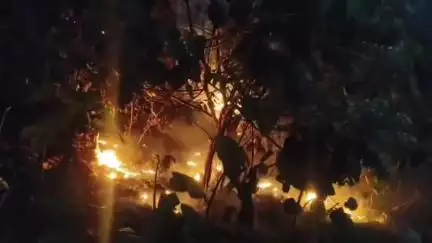 ஏற்காடு: ஏற்காடு பட்டிபாடி பகுதியில் தொடர்ந்து பரவி வரும் காட்டுத் தீ  . தீயை அணைக்க  தீயணைப்புத் துறையினர் தீவிரமாக ஈடுபட்டுள்ளனர்