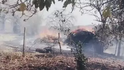 मंडला जिला ग्राम पंचायत मुकास खुर्द में एक गांव मुरलापानी है जहा पर यह आग लगा पूरा अनाज जल कर राख हो गया