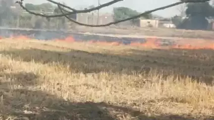 खेतो में गेहूं की परली को जलाते हुए किसान आगर मालवा