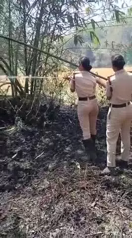 बहादुरपुर प्रखंड के गंगापट्टी ग्राम में महादेव मंदिर के सामने बॉसवारी में आग लगने पर दमकल कर्मियों ने आग पर काबू किया।