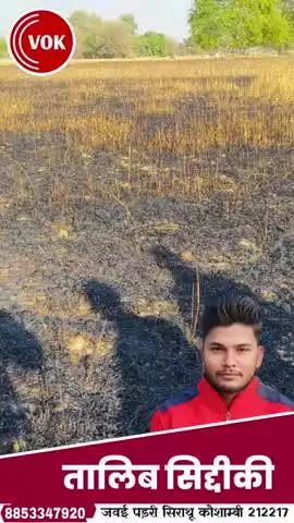 #गेहूं के #खेत में #आग लगने से 3 #बीघा गेहूं #जलकर हुआ #राख