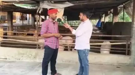 यादव pig फॉर्म बस्ती..
Pig 🐖 फॉर्म संबंधित किसी भी जानकारी के लिए संपर्क करें! पार्ट–2 #trendingvideo #trendingnews
