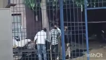 उंटारी रोड: उटारी रोड थाना क्षेत्र में युवक ने कीटनाशक खाकर आत्महत्या का प्रयास किया
