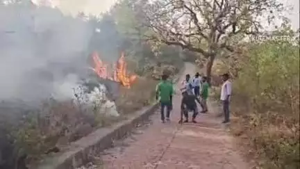 मंडरो: मंडरो फॉसिल पार्क में असामाजिक तत्वों ने लगाई आग, वनकर्मी ने पाया काबू