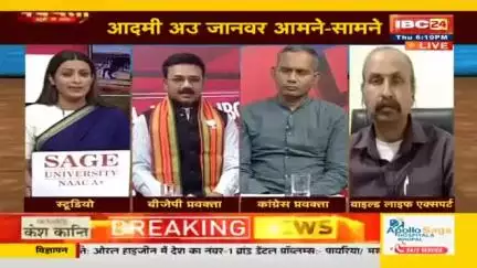 #हाथी  #भालू #तेंदुआ  #जंगली_जानवर #आमने_सामने IBC - 2 #छत्तीसगढ़ #Chhattisgarh #ChhattisgarhNews