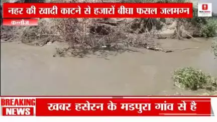 कन्नौज : हसेरन के मडपुरा में नहर काटने से हजारों बीघा फसल हुई बर्बाद #पानी #फसल