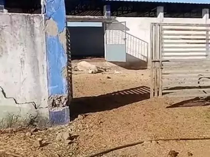 जिला विदिशा तहसील लटेरी जमुनिया पंचायत कोलवा नया गौशाला में गाय मरी पड़ी