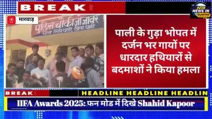 #पाली के गुड़ा भोपत में दर्जन भर गायों पर धारदार हथियारों से बदमाशों ने किया हमला #जयपुर #bhajanlalsharma