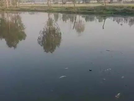 Huyaaa नुकसान talab mein