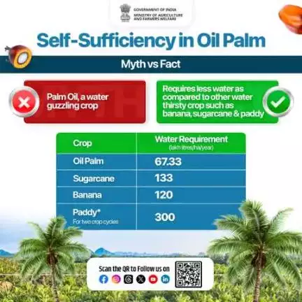 Busting Myths About Oil Palm! 
Let's support sustainable agriculture and work towards self-sufficiency in oil palm. 🌴

#agrigoi #OilPalm #SustainableFarming
