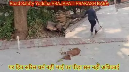 कुत्तों के झगड़े में  एक कुते  मृत पाया गया