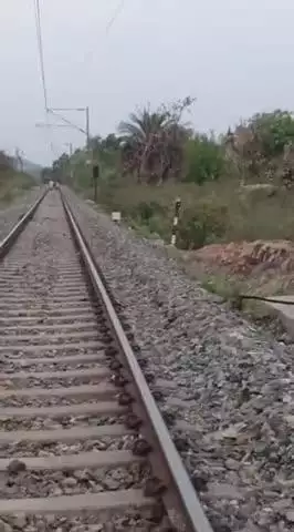 gunda railway line par krta hua hati ka jhund