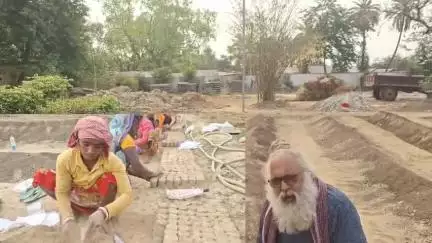 पौधारोपण और पर्यावरण संरक्षण