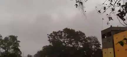 कोईलवर प्रखंड के विभिन्न क्षेत्रों में आंधी-तूफान के साथ वर्षा भी हुई। बेमौसम बरसात से  फसलों को काफी क्षती हुई है।