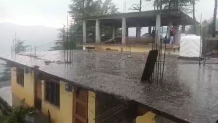 कुपवी: कुपवी में हुई भारी ओलावृष्टि से किसानों और बागवानों की फसल को हुआ नुकसान, सरकार से आकलन करने की मांग