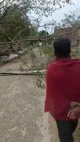 DASHRATH BIGHA GAON KE ROAD PER BIJALI KE TAR PAUL SAHIT GIR GAI