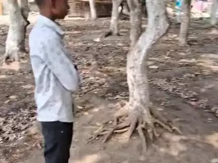 मेरे nihsuarath पर्यावरण संरक्षण संवर्धन की सुरक्षा करे रेल सरकार प्लीज