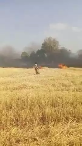 गोवा गांव में लगी आग खेतों का भूसा जलकर होगा