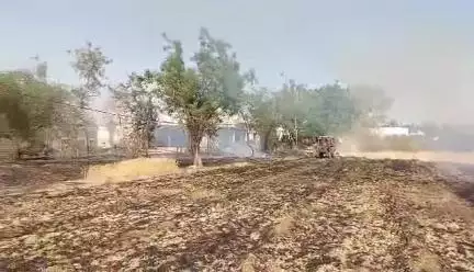 कपासन के उमड़ गांव में एक खेत में गेहूं की फ़सल जलकर हुए खाक
