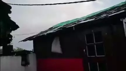 शिलाई: शिलाई क्षेत्र में भारी बारिश और ओलावृष्टि से किसानों की नगदी फसलों को हुआ भारी नुकसान, अचानक मौसम ने ली करवट