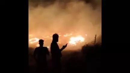 हापुड़: सिकंदरपुर गांव भट्टे पर तूड़ी के ढेर में भीषण आग,दो अलग-अलग भट्टों पर आग ने मचाया तांडव।
#fire #viral  #news