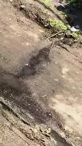 तिलैया बस्ती वार्ड नंबर 2 सरकारी स्कूल रोड में नाली नहीं होने के करण घर से निकलने वाला पानी रोड जमा हो रहा है