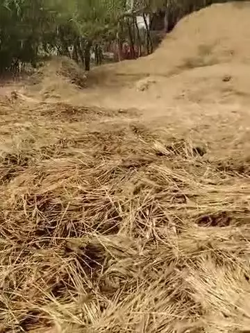 फेसर थाना अंतर्गत थेघवा में आग लगी की घटना