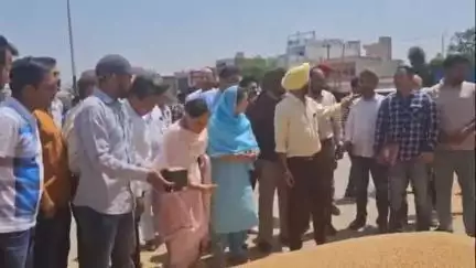 ਭਵਾਨੀਗੜ੍ਹ: ਵਿਧਾਇਕ ਨੇ ਕੋਲ ਭਰਾਜ ਦੇ ਨੇ ਭਵਾਨੀਗੜ ਅਨਾਜ ਮੰਡੀ ਵਿੱਚ ਕਣਕ ਦੀ ਸਰਕਾਰੀ ਖਰੀਦ ਸ਼ੁਰੂ ਕਰਵਾਈ