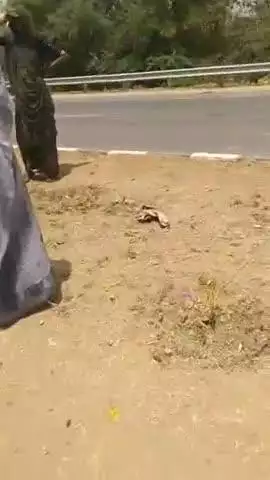 बाइक सावर युवक ने मारी दिवायदार मे गाड़ी