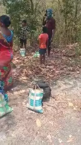 पीकॉक से आ रहे थे मोबाइल के पलट हो गया #सुकमा#