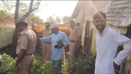 పెద్ద కొడప్​గల్​: కాటేపల్లి తాండాలో నిషేధిత గంజాయి పట్టివేత, ఇద్దరిపై కేసు నమోదు