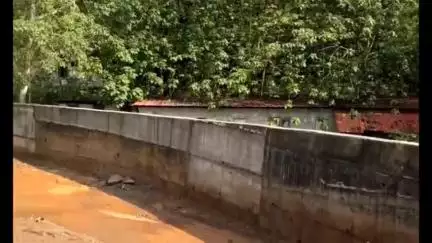ചെങ്ങന്നൂർ: വെണ്മണി ശാർങ്ങക്കാവ് പാലം നിർമാണത്തിന്റെ പുരോഗതി മന്ത്രി സജി ചെറിയാൻ സന്ദർശിച്ച് വിലയിരുത്തി