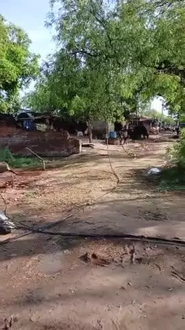 ग्राम पनेरूवा में आज रात आंधी आने की वजह से पोल टूट गया जिससे बिजली संचार बाधित हो गयी है #