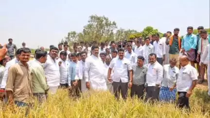 ಕಾರಟಗಿ: ಮರ್ಲಾನಹಳ್ಳಿ, ಸಿದ್ದಾಪುರ ಮರಳಿ ಗ್ರಾಮಗಳಲ್ಲಿ ಆಲಿ ಕಲ್ಲು ಮಳೆಗೆ ಹಾನಿಯಾದ ಭತ್ತದ ಹೊಲಗಳಿಗೆ ಸಚಿವರು ಭೇಟಿ