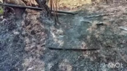 जळकोट: तालुक्यातील कुणकी येथील शेतकऱ्याचे तुषारचे पाईप आणि कडबा जळाला, पंचनामा करुन नुकसान भरपाई देण्याची शेतकऱ्याची मागणी