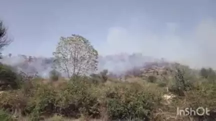 कुंवरिया: राजसमंद के कुंवारिया में रूपा खेड़ा की पहाड़ी पर लगी भीषण आग, मौके पर स्थानीय प्रशासन और पुलिस की टीम