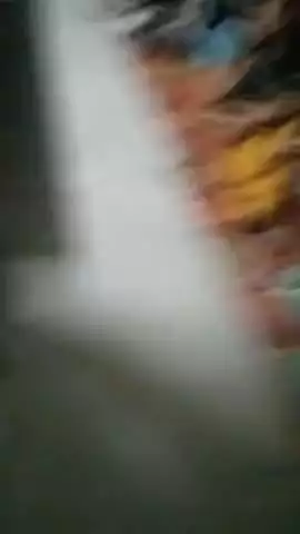 Mohan mein prashasan ki dekhrekh mein nikaali gai jhankiyan