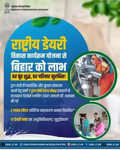 बिहार को डेयरी क्षेत्र में नई उड़ान! 
राष्ट्रीय डेयरी विकास कार्यक्रम से हर बूंद शुद्ध, हर परिवार सुरक्षित। अब 2 लाख लीटर अतिरिक्त प्रसंस्करण क्षमता और 11 डेयरी प्लांट्स का आधुनिकीकरण—सशक्त हो रहा है राज्य का दुग्ध उद्योग
#NPDD