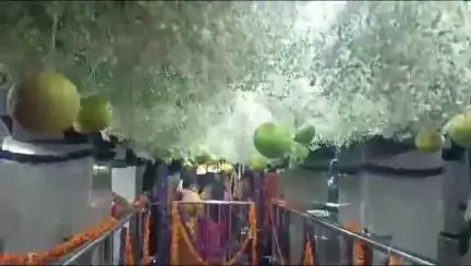 ನಾಗಮಂಗಲ: ಮದ್ದೇನಹಟ್ಟಿ ಗ್ರಾಮದಲ್ಲಿ ವಿಜೃಂಭಣೆಯಿಂದ ನಡೆದ  ಶ್ರೀಮದ್ದೇನಹಟ್ಟಿ ಅಮ್ಮನವರ ಜಾತ್ರಾ ಮಹೋತ್ಸವ