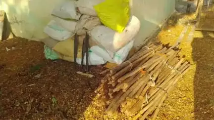 ಶಿರಾ: ಚಿಂಕಾರ ವನ್ಯಧಾಮದ ಬಳಿ ಕಾಡು ಪ್ರಾಣಿಗಳ ಬೇಟೆಯಾಡುತ್ತಿದ್ದ 18 ಮಂದಿ ಅರಣ್ಯ ಅಧಿಕಾರಿಗಳ ವಶಕ್ಕೆ