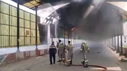 हाथरस: मथुरा बरेली रेल मार्ग पर बने अंडर पास में लगी आग, दमकल की कई गाड़ियां मौके पर आग भुजाने में जुटी।
#news #fire