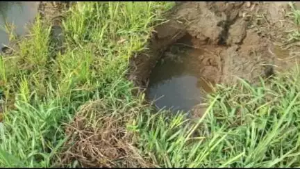 चंदगड: राजगोळी बुद्रुक परिसरात हत्तीचा वावर, कायमचा बंदोबस्त करण्याची वनविभागाकडे शेतकऱ्यांची मागणी.