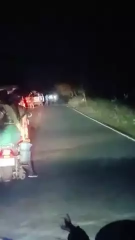 जयनगर सम्राट होटल के पास रात में हाथी रोड पर कर रहे है