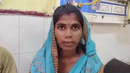 🛑रायबरेली:महिला समेत 4 पर मधुमक्खियों का हमला,खेत में गेहूं काटते समय मधुमक्खियों का हमला।
#raibareli #news