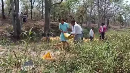 380 बोरियों से बोरी बंधान का दिया जल सारांक्षण का सन्देश सामूहिक प्रयास से ही जल सारांशन संभव गौरव पारधी