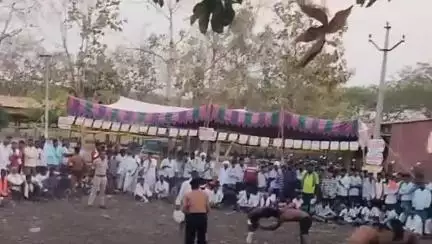 పెద్ద కొడప్​గల్​: బేగంపూర్‌లో గ్రామంలో ఘనంగా కుస్తీ పోటీలు