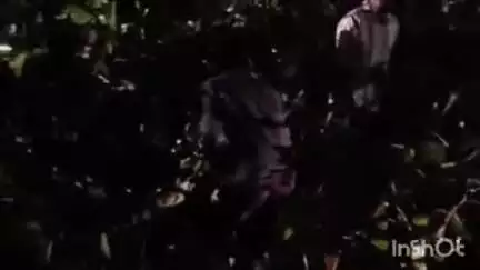 रक्कड़: पुलिस थाना रकड़ के सामने कल देर रात आंधी-तूफान से गिरे वृक्ष को स्थानीय लोगों ने कड़ी मशक्कत कर किया साइड